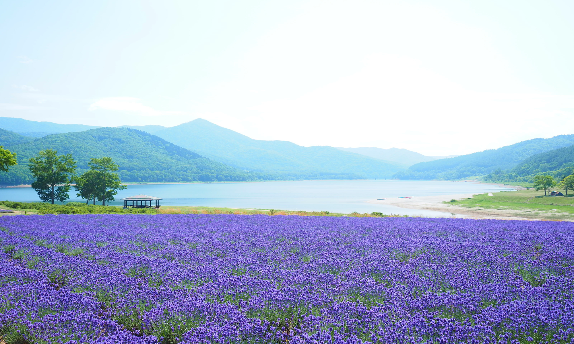 風景